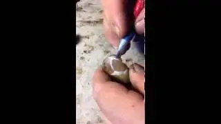 Carving Shoushan stone seal into mushrooms- 篆刻 -壽山石印章