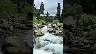 Kashmir..#nature  #kashmir #peace #views #travel #contentcreator #calmness #vibes #traveller #chill
