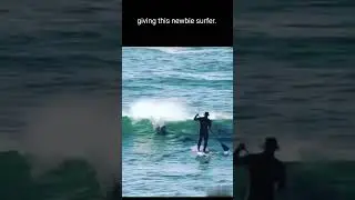 Hilarious Moment!😂Dolphin bros wipe out surfer on their turf!  #viral #entertainment