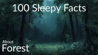 The most relaxing facts about forest to fall asleep to
