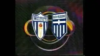 West Adelaide vs South Melbourne, round 14, 1993/94, National Soccer League