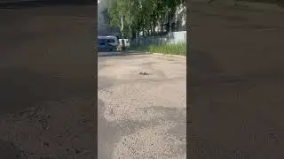 11 июля 2024 г.