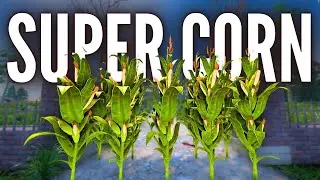 How to get SUPER CORN in 7 days to die 2.0