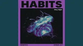 Habits (Stay High)
