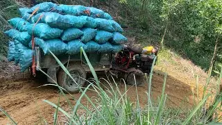 agricultural vehicles transporting timber