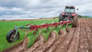 iran village lifestyle |Agriculture in the village |daily routines village