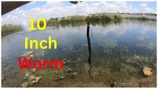 Summer Worm Fishing gets the W Kinda
