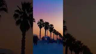 🌴Coastline Chronicles💎BUH Sound LAB📀New 2025💥#buhsoundlab #oldschoolhiphop #laidbackvibes #chillrap