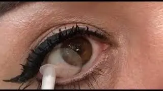 Renkli Lens - BELLA GREY CARAMEL / Bi D&uuml;nya Lens