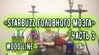 &laquo;Starbuzz головного мозга&raquo; часть 3. Wood Line | Baga Man выпуск 38