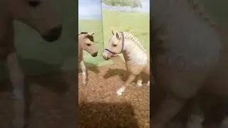 Tagesschau Schleich im Studio Tara
