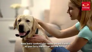 Econo Lodge Kingsport East | Pet Friendly Hotels in Kingsport, TN