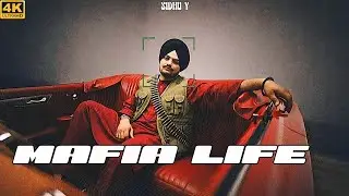 IM MAFIA | SIDHU MOOSEWALA NEW SONG | NOT A GANGSTER IM MAFIA SONG 