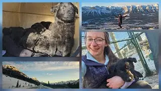 Choosing My Puppy at 7 Weeks Old! *RARE DOG BREED*