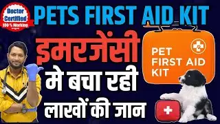 Best First Aid kit For Dogs | Puppy | Pets First Aid Kit | How To Make Dogs First Aid Kit ? At Home