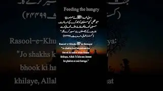 Feed the Hungry || Part 10 #feedingthehungry #islamicwisdom  #moralshorts