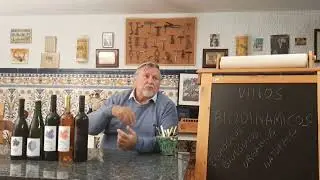 70 - Vinos biodinámicos. La bodega de las estrellas