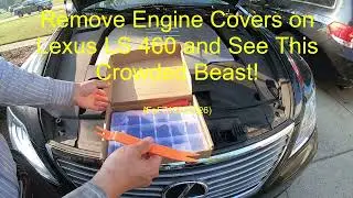 Remove Engine Covers on Lexus LS 460 and See This Crowded Beast! FnF715