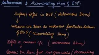 Autonomous and Accommodating Items | Class 12 Macroeconomics Balance of Payments