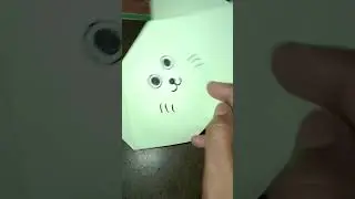 making cat face with colour chart paper craft😺😺#craft#art#draw#catface#cat#chartpaperdesign#shorts