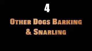 5 Sounds Dogs Hate All Time HQ - Dog Lover