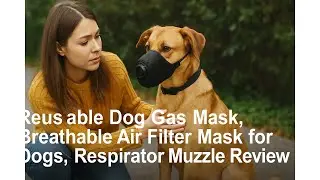 🐶 Reusable Dog Gas Mask, Breathable Air Filter Mask for Dogs, Respirator Muzzle Review 😷