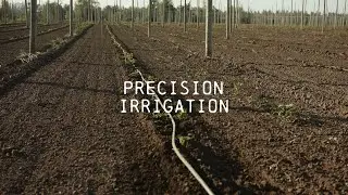 Precision Irrigation