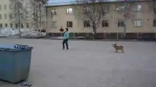 topsukka tokoilee1