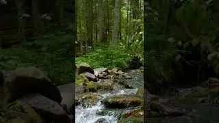 Calm Spiritual Music | Blessed Meditation In The Mountains