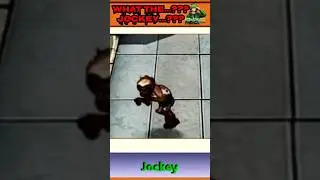 What The...??? Jockey...??? - Plants Vs Zombies #shorts #PVZ #pvz2 #Pvzhack #PVZmod #pvz3 #PVZ4