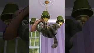 Talking Tom 2 