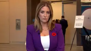 Carbon tax controversy | Vassy Kapelos thinks this looks like a 