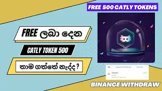 Free 500 Catly Token Airdrop | Free All Only Binance Users - Ceylon Crypto Chat