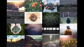 Image Hover Effects  html and Css bootstrap use