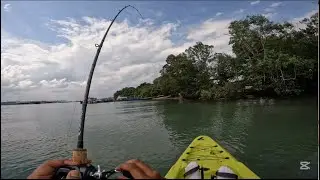 THE SYMPHONY OF RED DRUM! | Ep9 | Kayak Fishing Singapore