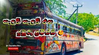 නැලවි නැලවි එන දුඹුරු ළමිස්සි 😍 | CHANDIRA BRO 🔴