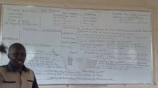 kcse 2023 revision:one page summary of ammonia