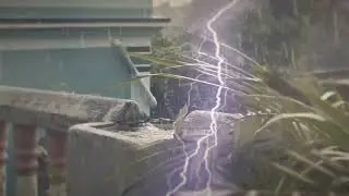 DEEP RAIN SOUND///CONTINUOUS RAIN SOUND IN VILLAGE///SOUND FOR SLEEP!!! NATURAL RAIN😊.
