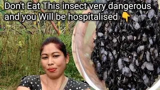 😩don't Eat This insect very dangerous and you will hospitalised@amongla878 