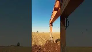 Process Machine BIG #shorts #tiktok #india #industrial #farming #ukraine #russia #asia #algerie