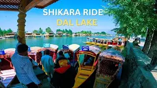 Exploring DAL LAKE
