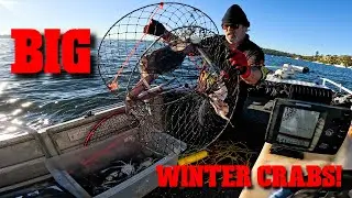Perth Crabbing - Ep8, Big Winter Crabs and Favourite Catch And Cook Crab Pasta