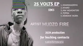 MUDZO FIRE - NDAWANA DEMU 25 VOLTS EP MARCH 2024