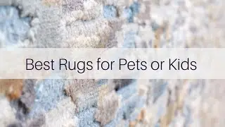 Best Rug for Pets & Kids from Different Budgets & Styles