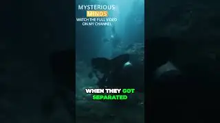 Tragic Dive Accident Friends Separated and Lost Consciousness Underwater