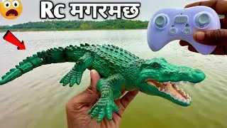 Exciting Rc Crocodile, Submarine, & Shark Unboxing