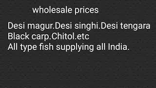 Black carp fish for sale