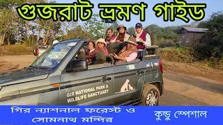 কুন্ডু স্পেশাল এ গুজরাট ভ্রমণ | Gujrat Tour guide | গির জঙ্গল সাফারি | সোমনাথ মন্দির ও পোর বন্দর 
