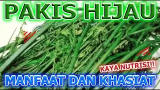 KAYA NUTRISI!! MANFAAT DAN KHASIAT PAKIS HIJAU BAGI KESEHATAN