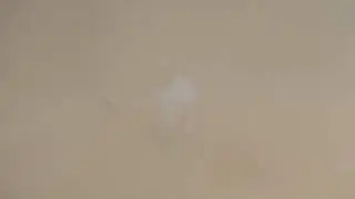 German 75 mm Pak 40 Anti Tank Gun in action, Live fire.